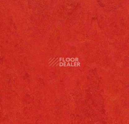 Кварцвиниловые полы Forbo Marmoleum Modular t3131 scarlet фото 1 | FLOORDEALER